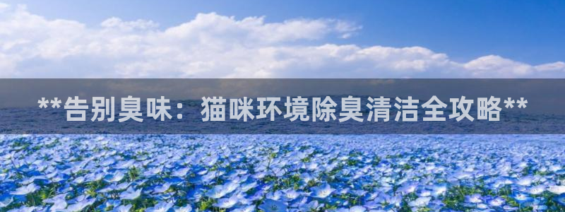 尊龙人生就是博旧