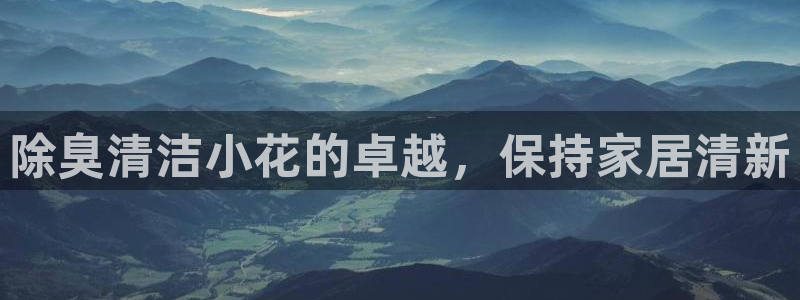 尊龙游戏官方网