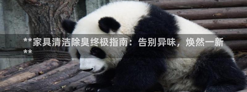 尊龙人生就是博AG