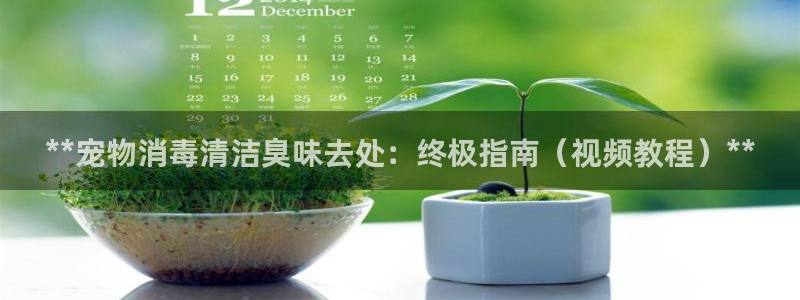 尊龙凯时平台还是万博好