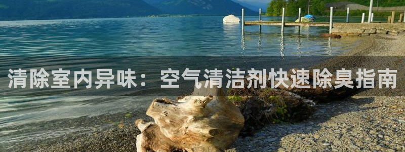 尊龙app官网登录：清除室内异味：空气清洁剂快速除臭指南
