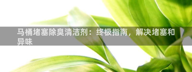 尊龙凯时 - 人生就是搏手机登录：马桶堵塞除臭清洁剂：终