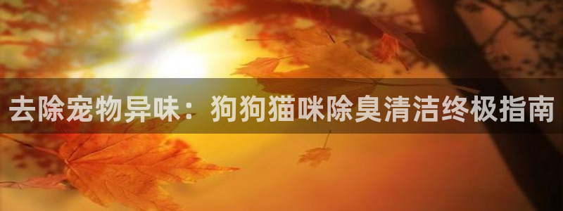 尊龙凯时官网平台
