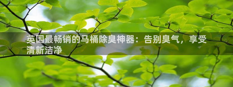 尊龙凯时v7要冲多少：英国最畅销的马桶除臭神器：告别臭气