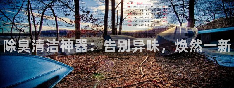 尊龙凯时存款不上分：除臭清洁神器：告别异味，焕然一新