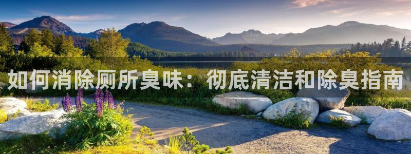 尊龙d88官网登录下载：如何消除厕所臭味：彻底清洁和除臭