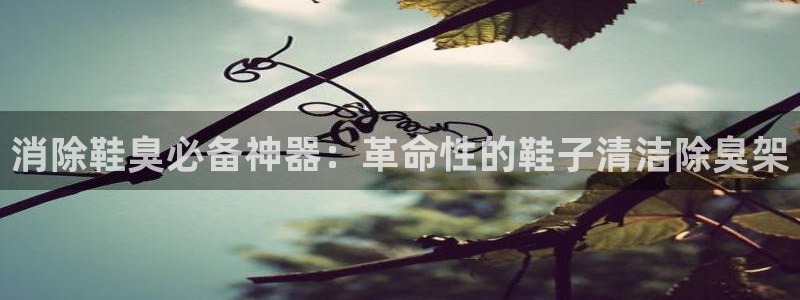 凯时APP官网首页