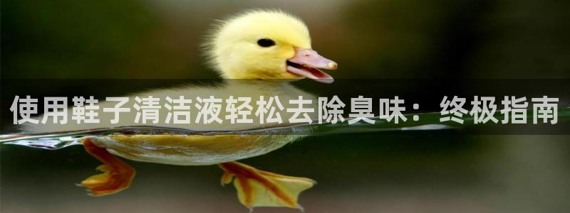 z6尊龙z6