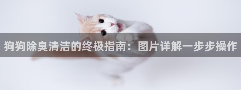 AG尊龙凯时注册：狗狗除臭清洁的终极指南：图片详解一步步