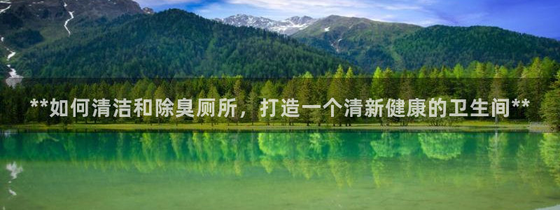 凯时登录平台去AG发财网：**如何清洁和除臭厕所，打造一