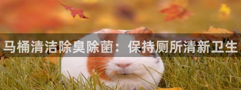 尊龙网站手机下载
