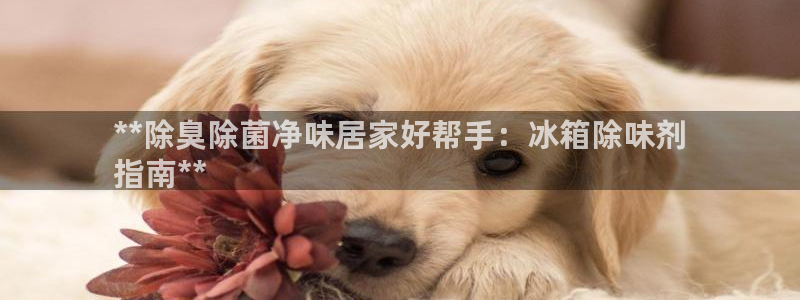 尊龙凯时泰安
