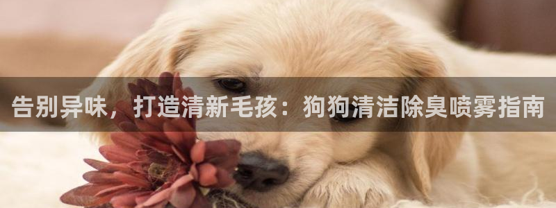 尊龙凯时人生就是搏·(中国)官网
