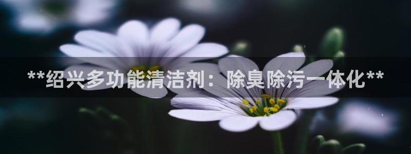 尊龙凯时的钱能退回来吗