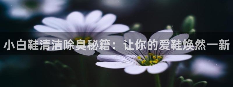 凯时kb88公司简介