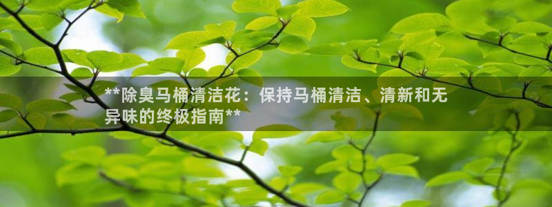 尊龙登录会员登录：**除臭马桶清洁花：保持马桶清洁、清新