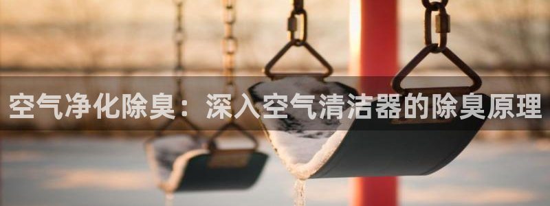 z6com尊龙凯时代理