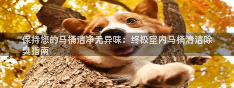 尊龙凯时旗舰厅百家乐下载