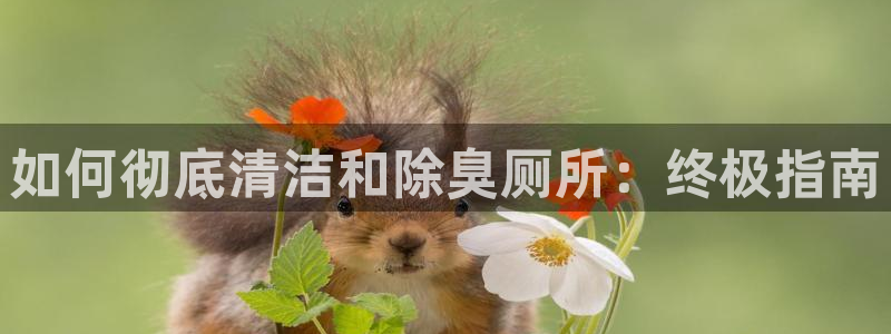 国际凯时ag优质运营商