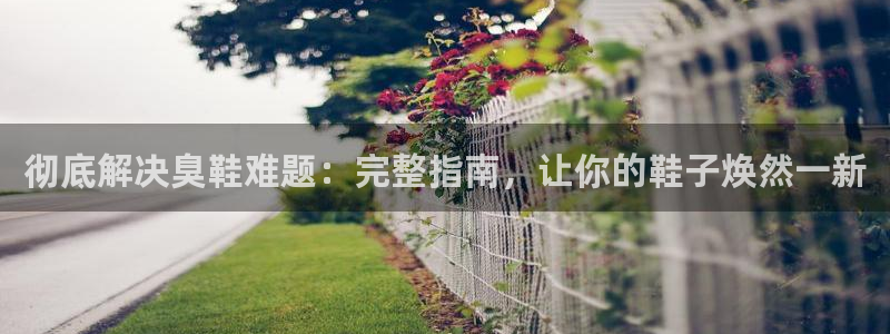 尊龙凯时白家乐Abb下载