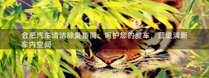尊龙凯时人生就是搏!官网