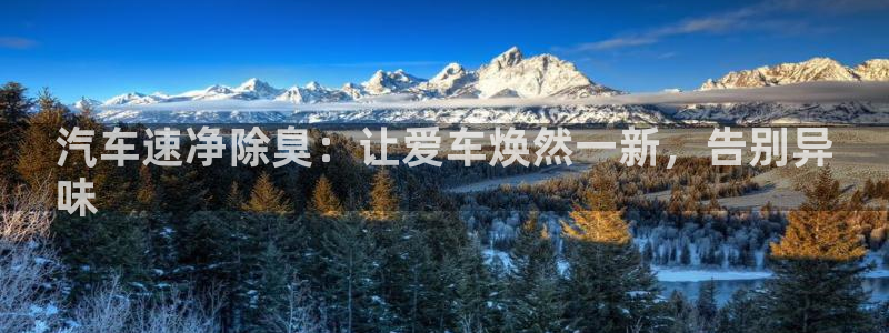 凯时国际最新