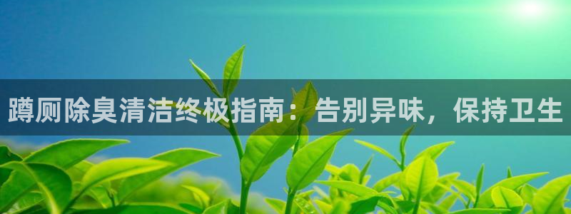 尊龙登录首页：蹲厕除臭清洁终极指南：告别异味，保持卫生