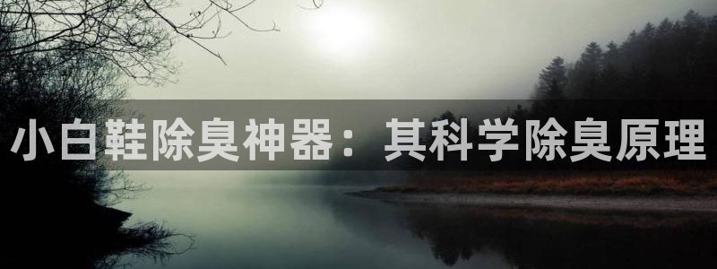 凯时登录界面：小白鞋除臭神器：其科学除臭原理