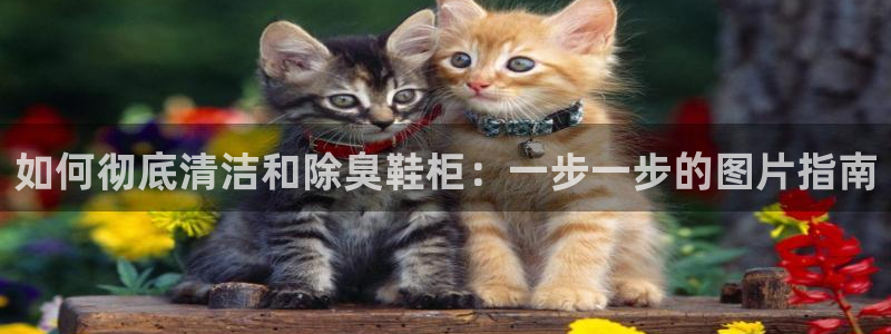 凯时k66会员登录：如何彻底清洁和除臭鞋柜：一步一步的图
