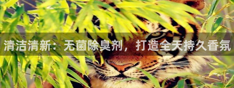 凯时旗舰厅App下载：清洁清新：无菌除臭剂，打造全天持久