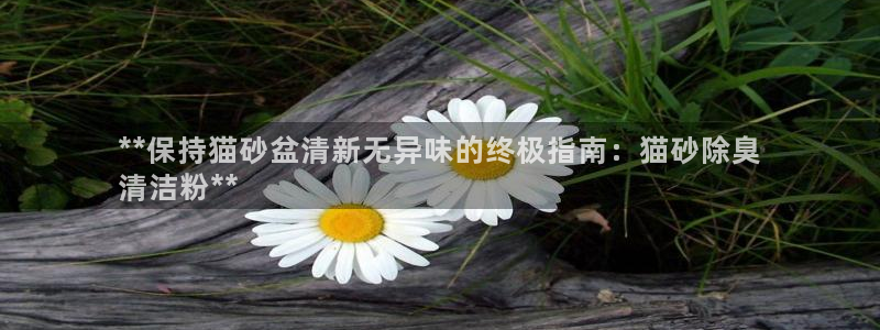 尊龙凯时输钱的原因