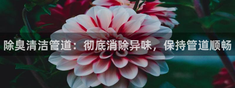 尊龙凯时的最新消息