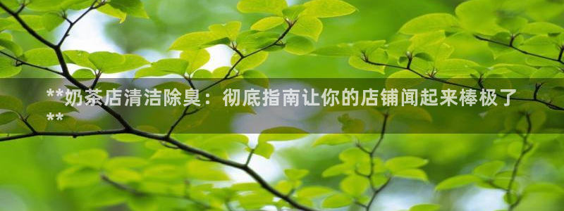 尊龙app注册官网：**奶茶店清洁除臭：彻底指南让你的店