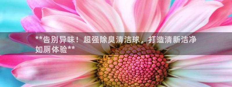 尊龙凯时发展历程