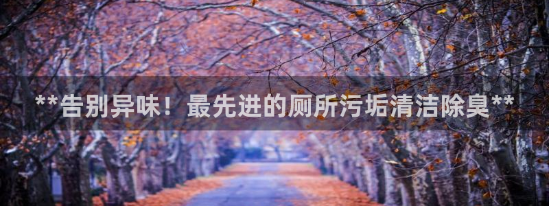 尊龙t300和t400哪个好