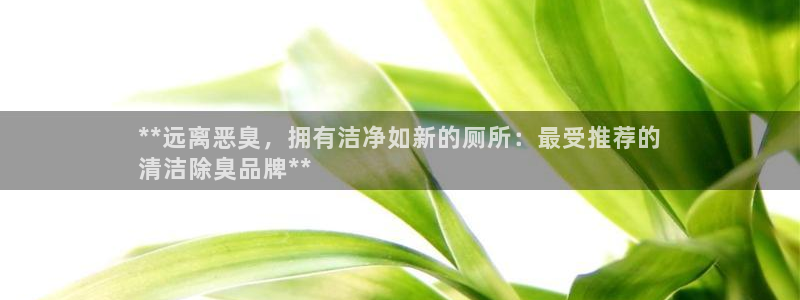 凯时国际app登录：**远离恶臭，拥有洁净如新的厕所：最