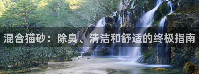 尊龙版末代皇帝