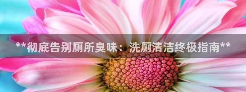 尊龙网站人生就是博