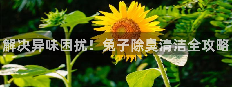尊龙凯时平台还是万博好