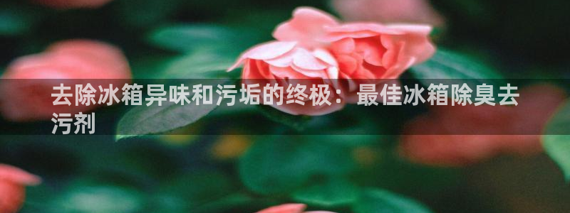 尊龙手机客户端下载APP