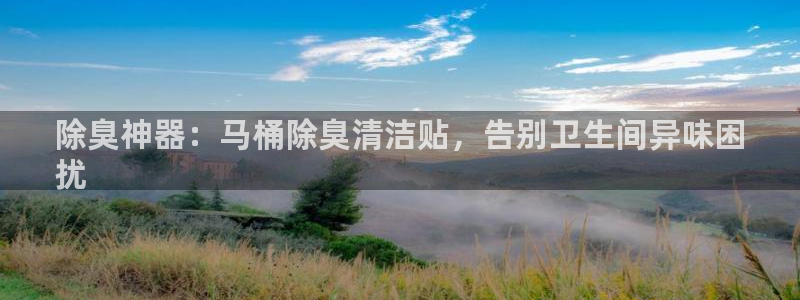 凯时游戏app：除臭神器：马桶除臭清洁贴，告别卫生间异味