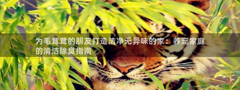 尊龙版末代皇帝