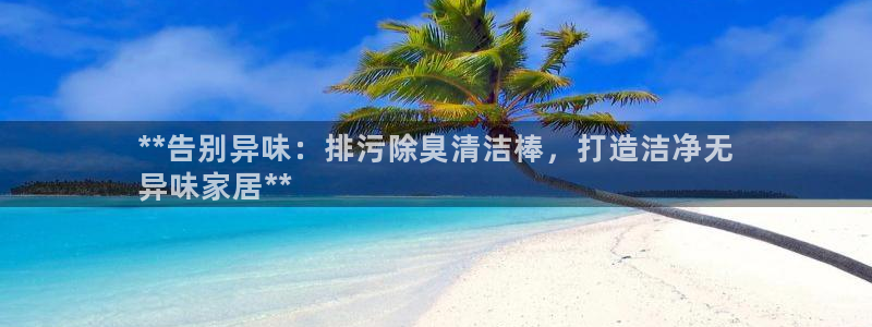 尊龙集团有限公司地址：**告别异味：排污除臭清洁棒，打造