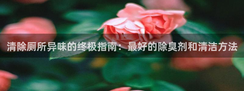 尊龙 6