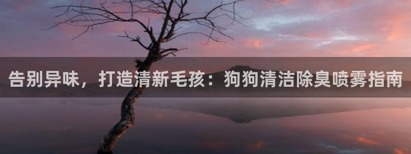 尊龙登录会员登录：告别异味，打造清新毛孩：狗狗清洁除臭喷