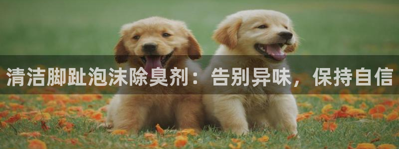 凯时网址多少