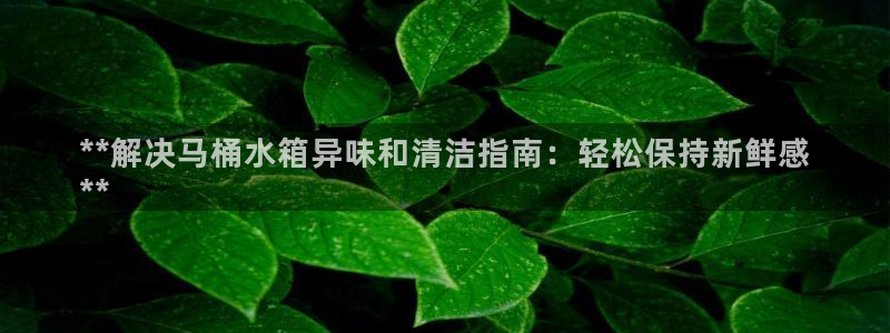 尊龙app注册官网：**解决马桶水箱异味和清洁指南：轻松