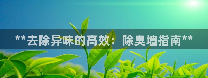 尊龙ag旗舰厅官网官方入口