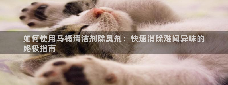 尊龙凯时人生就是搏z6com：如何使用马桶清洁剂除臭剂：