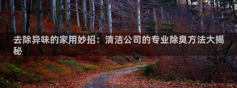 凯时kb88官方：去除异味的家用妙招：清洁公司的专业除臭